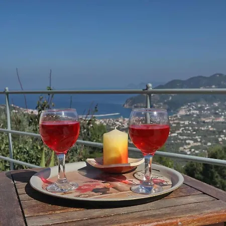 Margarita Βίλα *